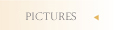 Pictures